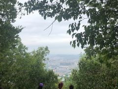 -紫金山山顶公园