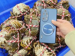 -七的湖·江南蟹舫·阳澄湖农家菜(蟹舫苑店)