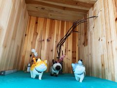 -猫在这儿猫咪咖啡馆·撸猫馆