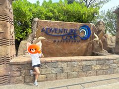 -新加坡水上探险乐园