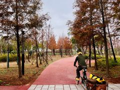 -春花秋色城市公园