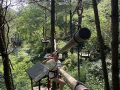 -梦幻奥陶纪景区