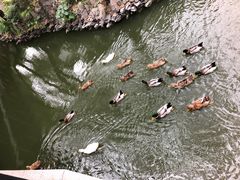 -中山詹园