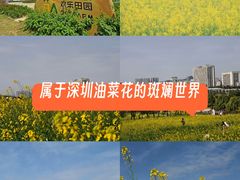 -光明小镇欢乐田园
