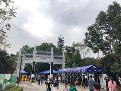 -东湖落雁景区