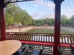 -尚庄度假村·庭台树下·户外烧烤·团建CS·轰趴营地(上庄水库店)