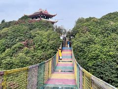 -贵州百里杜鹃风景名胜区