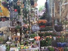 -循礼门鲜花花市(武汉循礼门店)