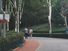 -长乐公园游乐场