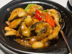 -新兴·金羊座·粤菜点心(乐峰店)