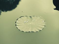 -龙头寺公园