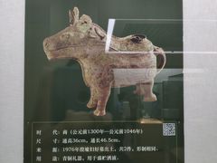 -安阳博物馆