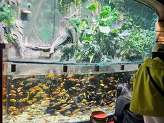 -太平洋海底世界