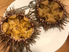 -海胆小馆(东北水饺·春柳店)