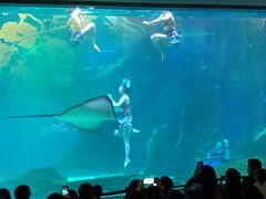 -海合安成都极地海洋公园