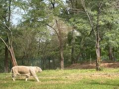 -秦皇岛野生动物园