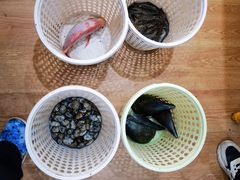 -小海豚•老字号海鲜餐厅(天涯店)