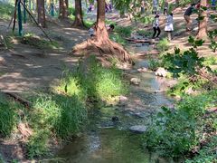 -白水寺森林公园