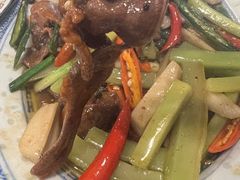 -国强牛肉(洋河总店)
