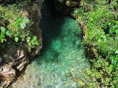 -广州白江湖森林公园