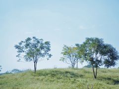 -良渚古城遗址公园