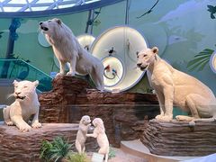 -陕西自然博物馆