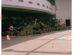 -陕西自然博物馆