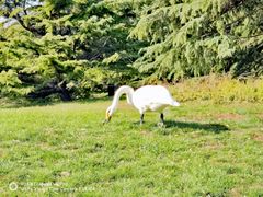 -安立路(地铁站)