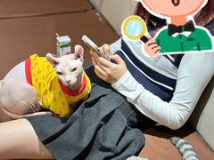 -MOCHA明星猫咖(田子坊店)