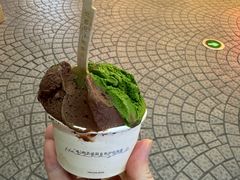 -鹤茶野所(上海首店)