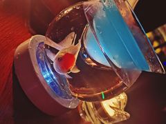 -Joy酒隐(西湖店)