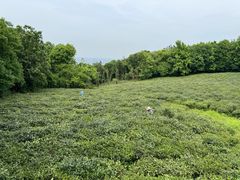 景点-虞山风景区
