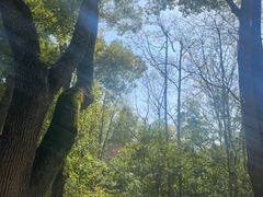 -汇龙潭