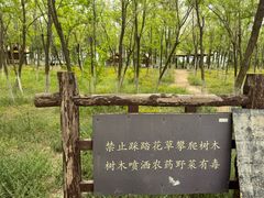 -西青郊野公园