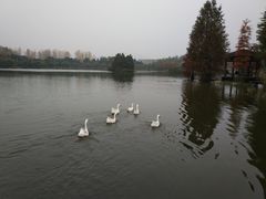 -浙江农林大学(东湖校区)
