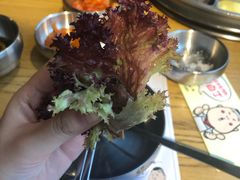 -姜虎东白丁烤肉(恒隆广场店)