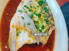 鱼头诱惑-绿茶餐厅(成都万象城店)