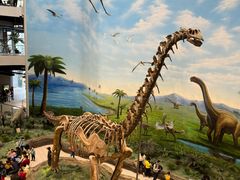 -辽宁古生物博物馆