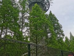 -黄海国家森林公园