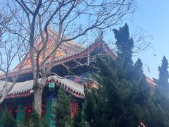 -天津妈祖文化园