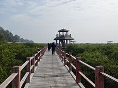 -北海金海湾红树林生态旅游区