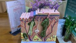 -丝客富脱发养发头皮馆