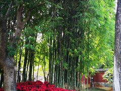 -建水文庙