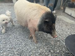 -小时光咖啡馆(开森度假森林店)