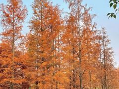 -白鹭湾湿地公园