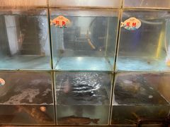 -蛙鱼道美蛙鱼自助火锅(新耍都店)
