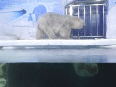-左海海底世界