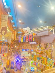 -卡通尼·Safari非洲探索乐园·生日会(金桥国际商业广场店)