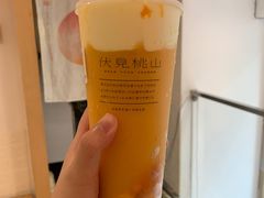 -伏小桃(明瓦廊店)