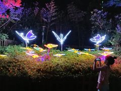 -合肥融创乐园